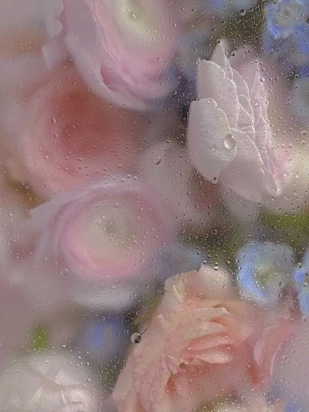 Mi_mi_mi의 蜿ｯ諢幃℃縺?