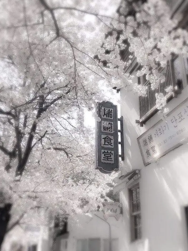 GayValue6865의 꽥꽥 탐험대인데.. 여우가?!