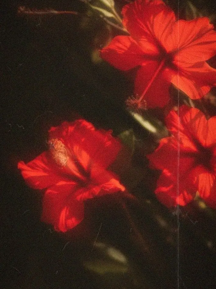 ffee3의 [GL] 한유리