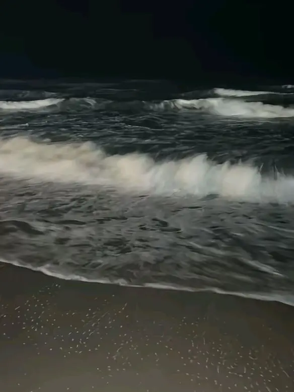 FussyBeach1128의 동 훈