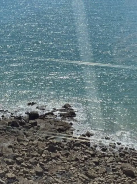 dreamer_0107의 미수반 1 {{여행+여우}}