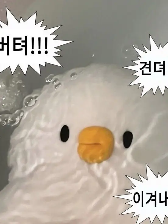 BossyRival2981의 헤어지고 일주일 후 잭의 커버 곡이