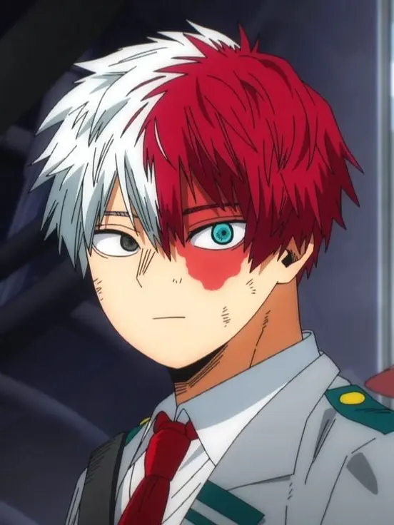 Novachanz의 Shoto Todoroki