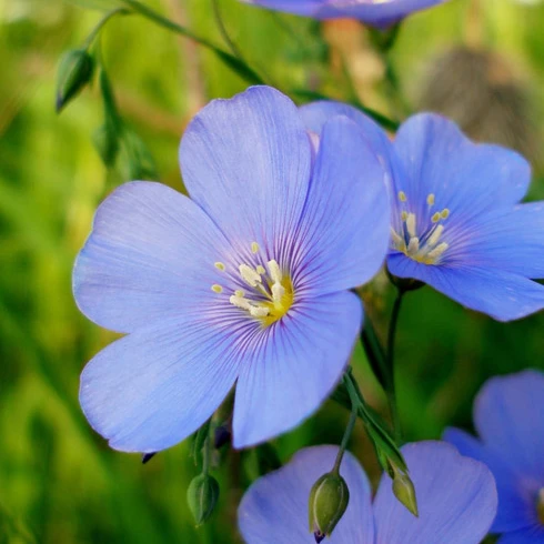 당신만의 세계(RPG)