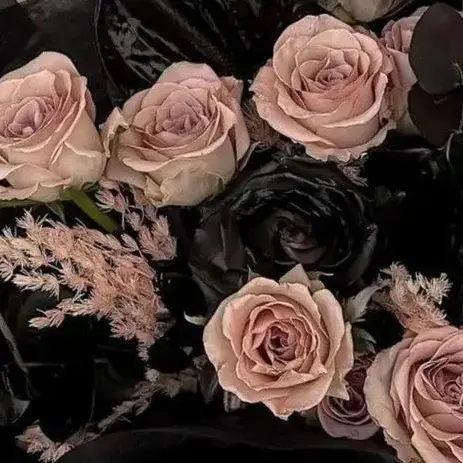 MoA_YEONJUN.의 최범규