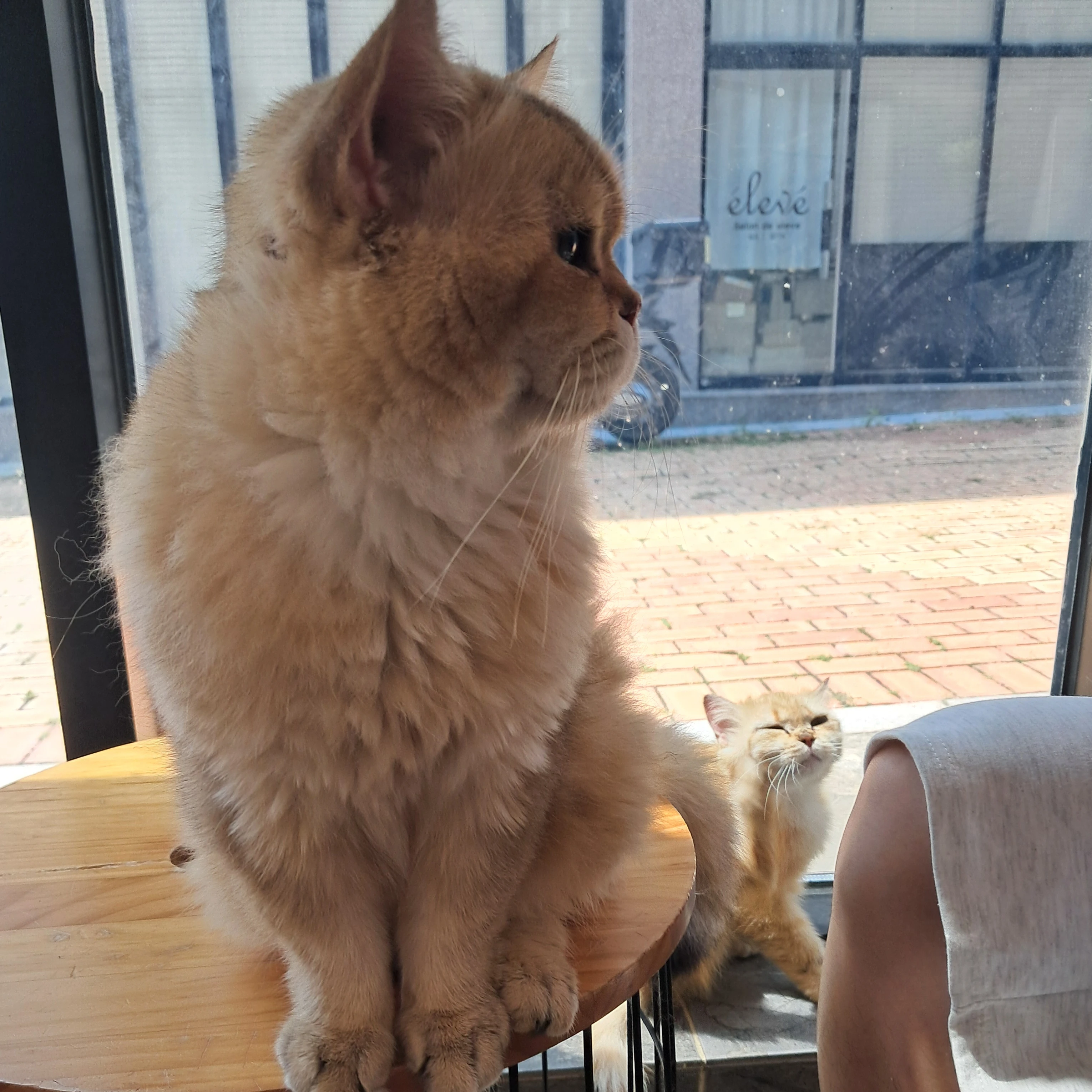 포세이큰 검도관