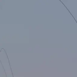 YeastyLid9793의 개인용