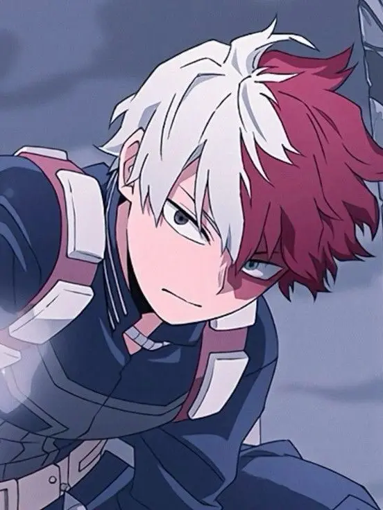 Novachanz의 Shoto Todoroki
