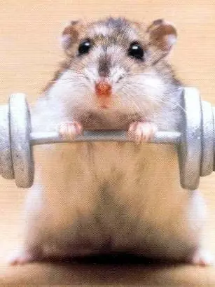 BentCorn4527의 운동부 전학생