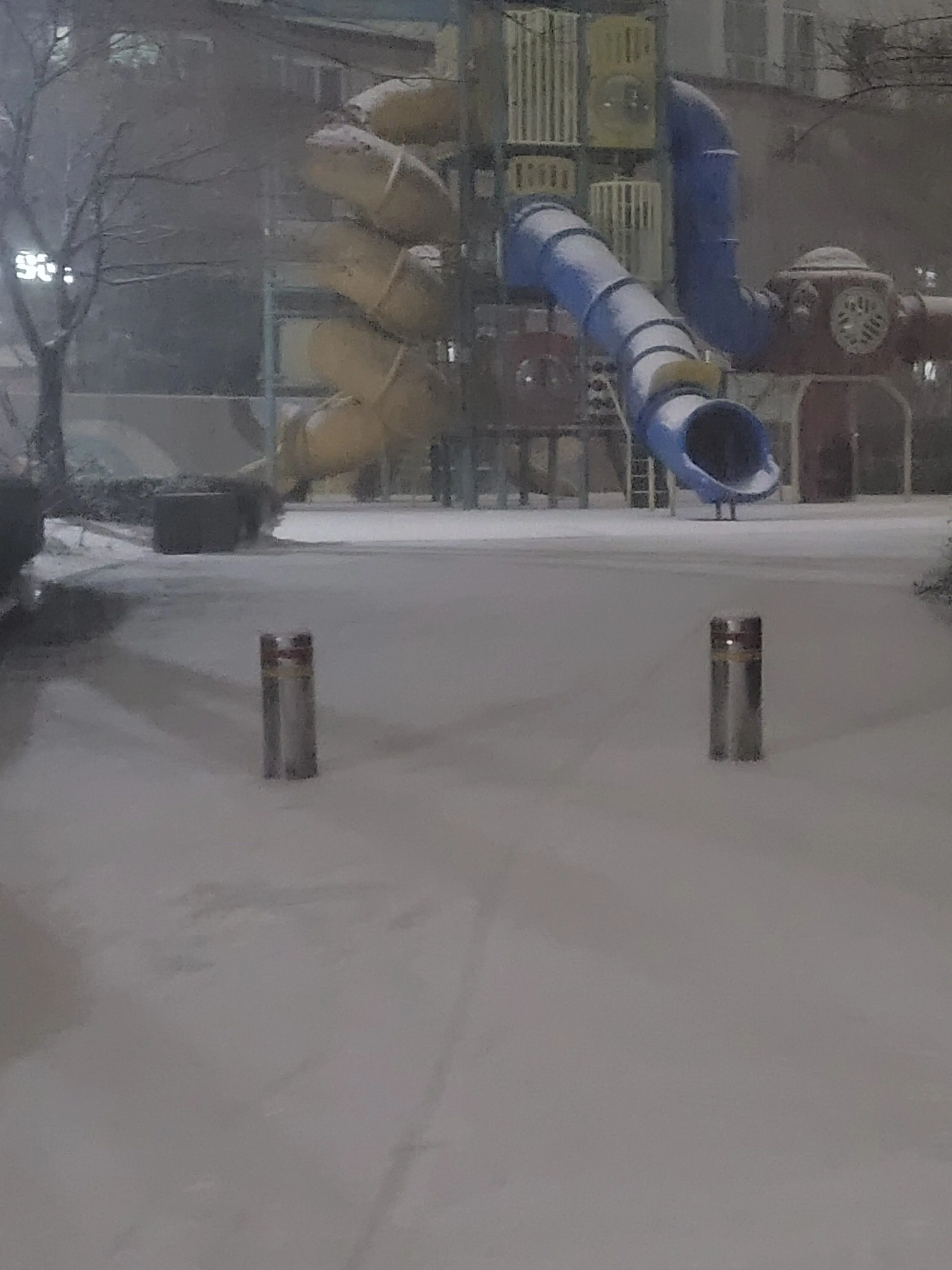 FiercePool2884의 유튜버MT늑대 여우 있음