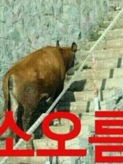 오모리, 그 후 대표 이미지