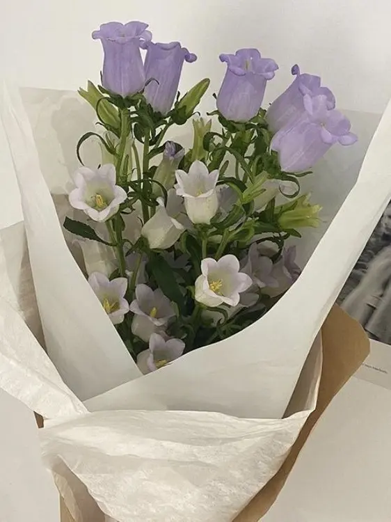 Hank3532의 플래그