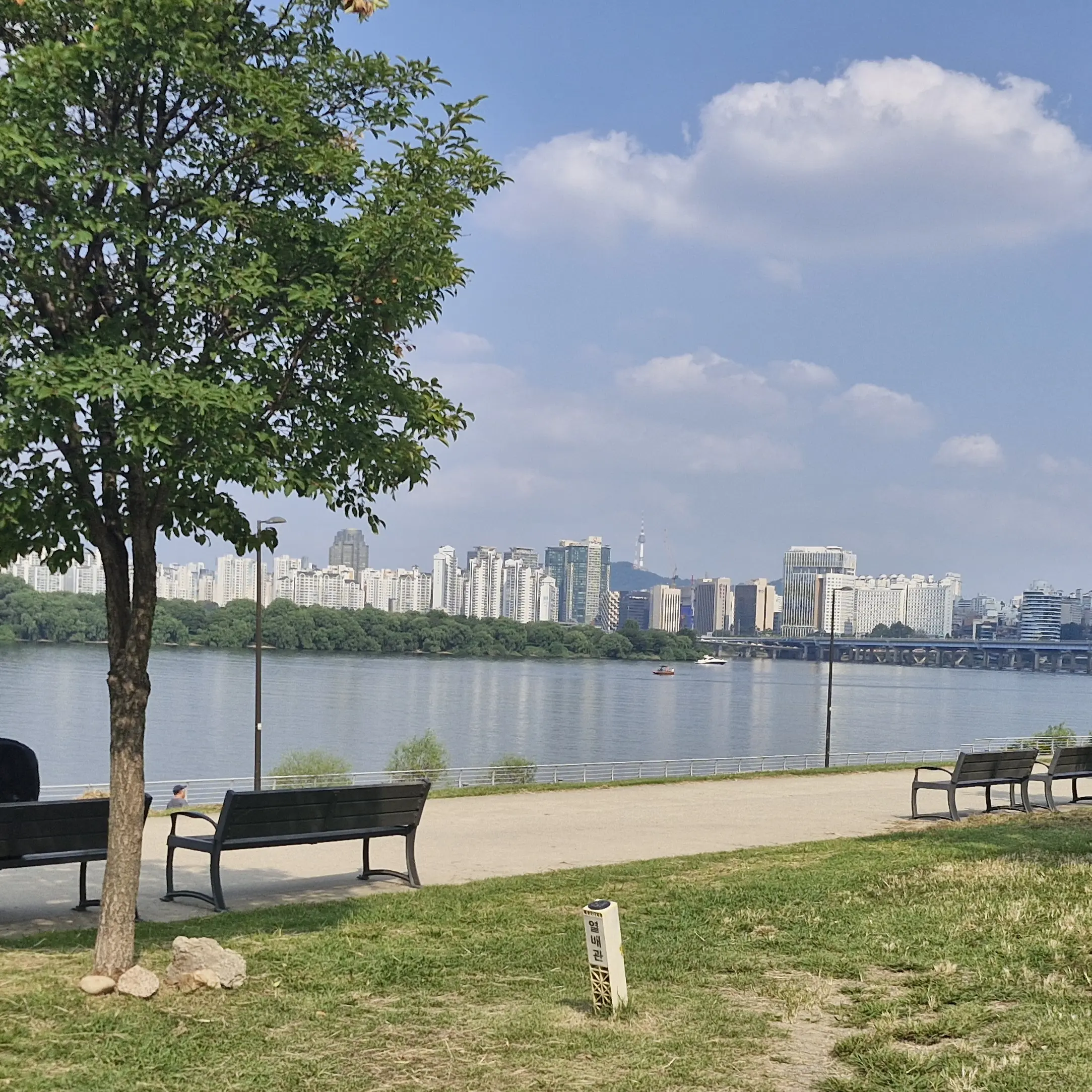 MAXMAXMAXSUPERMAX의 대학교 교수로 살기