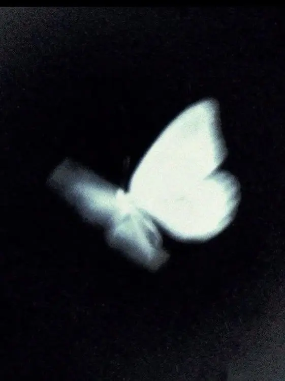 shbfhdjs의 The Boss's Flower