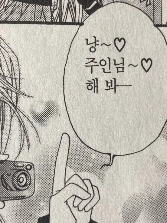 Jomegi.Zz의 ㅤ