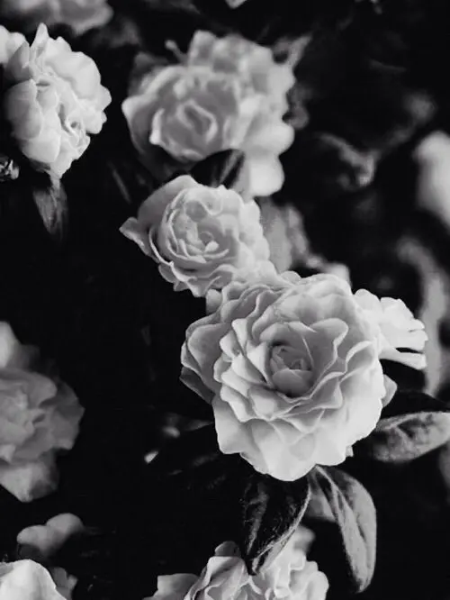 PlainPhoto1747의 リアル鬼ごっこ