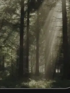 Donniesgurl의 Hybrid sanctuary