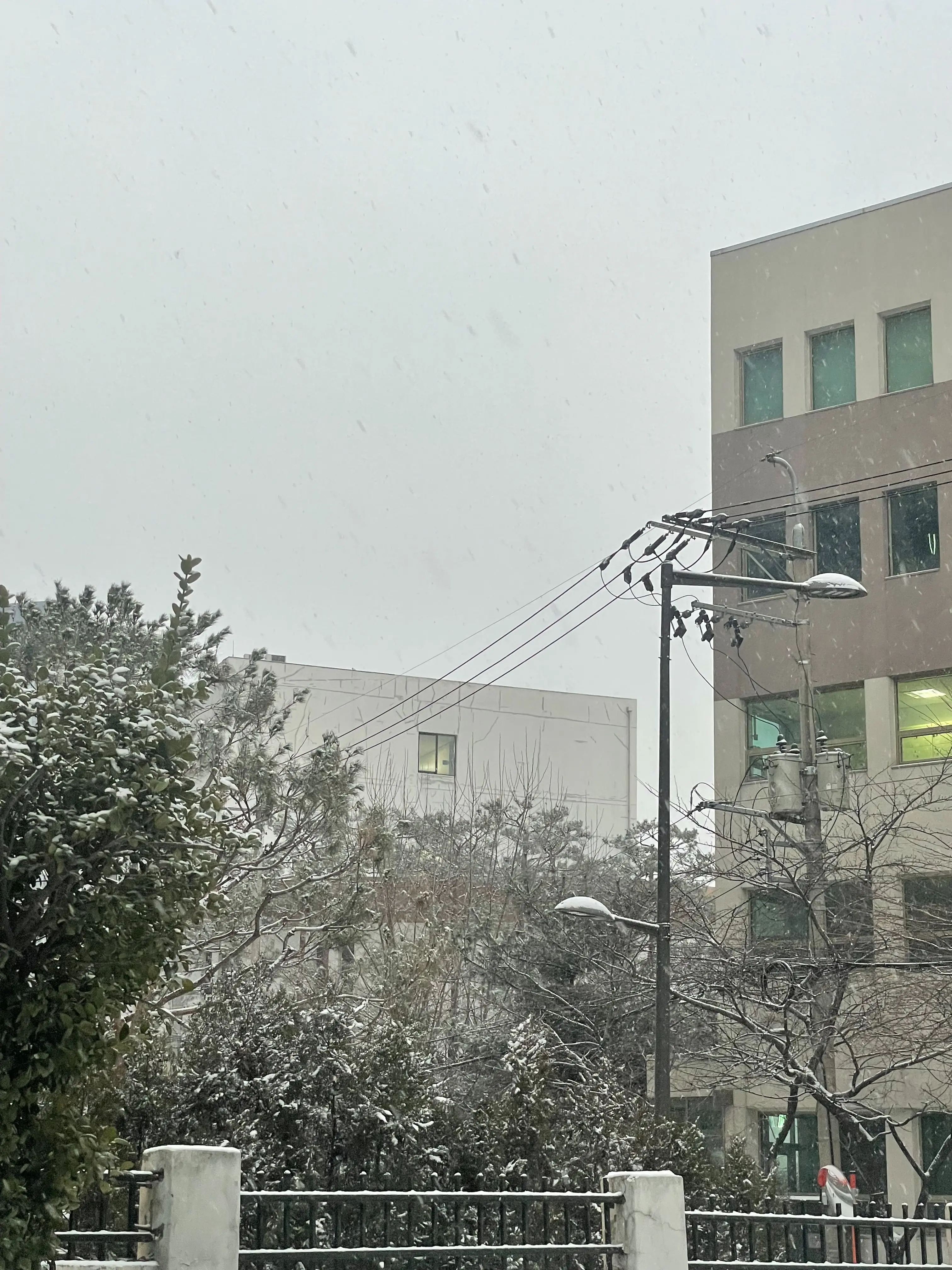 Yourng의 고고프렌즈