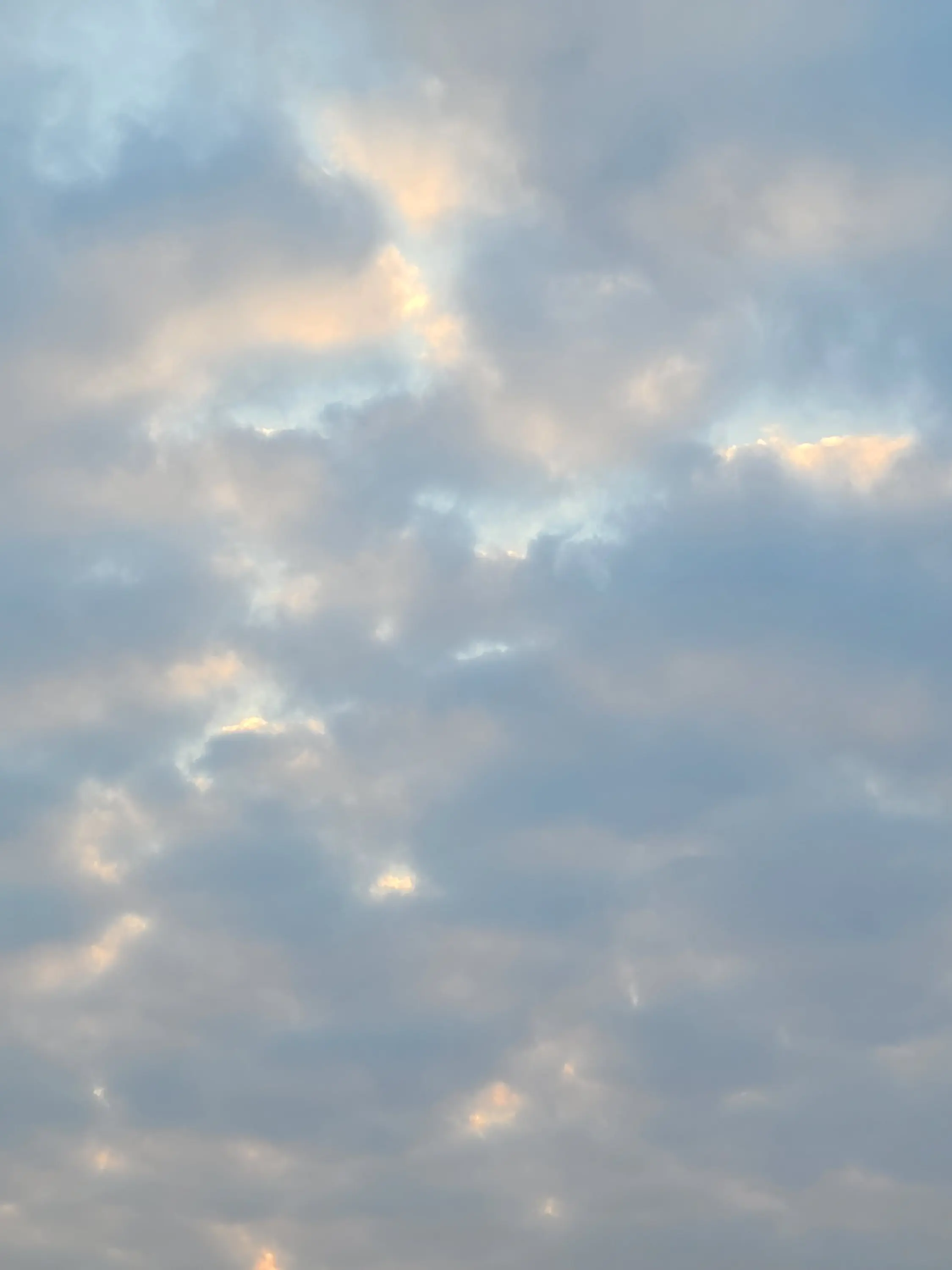 LeafyMap0583의 네 품은 따듯할지 궁금했어