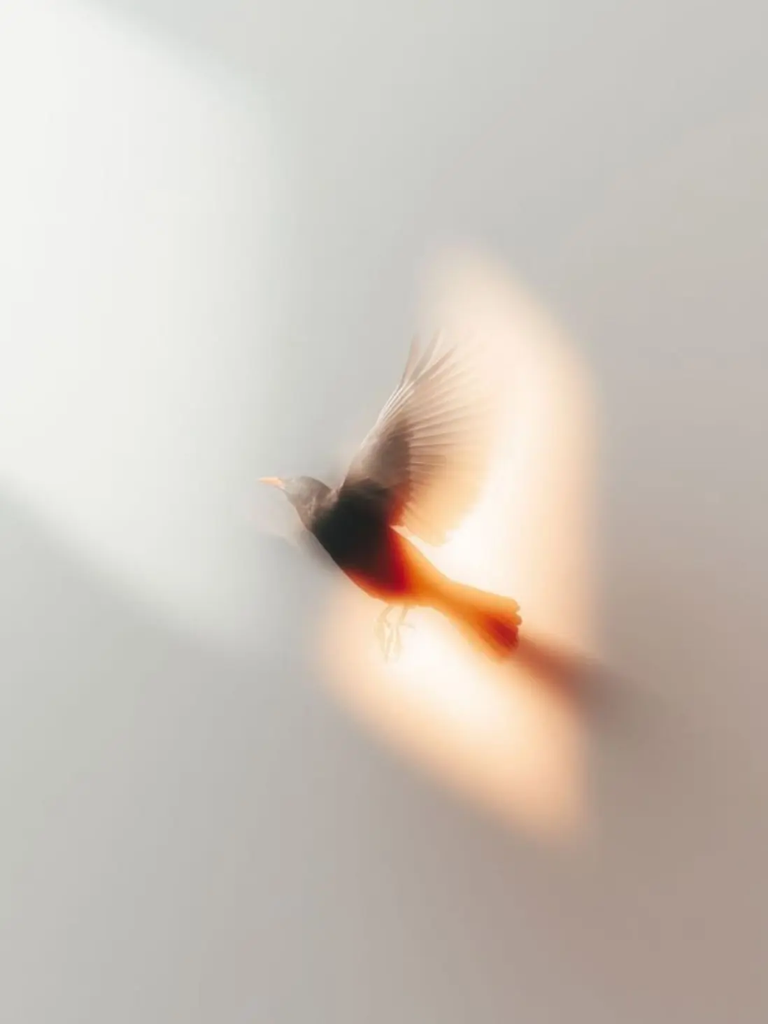 ActiveEasel2045의 𝓵𝓪𝓼𝓽 𝓵𝓲𝓯𝓮