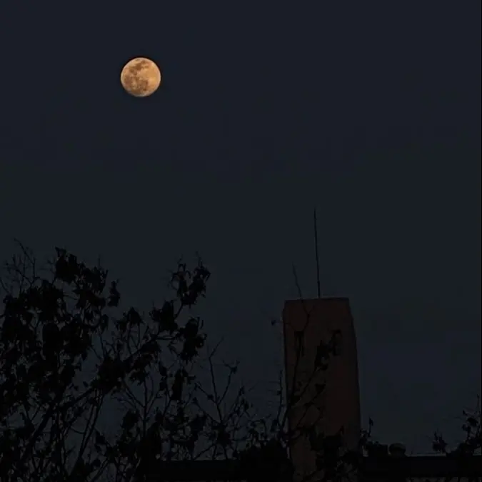 1998_NE의 정공룡_⚠️수위주의⚠️