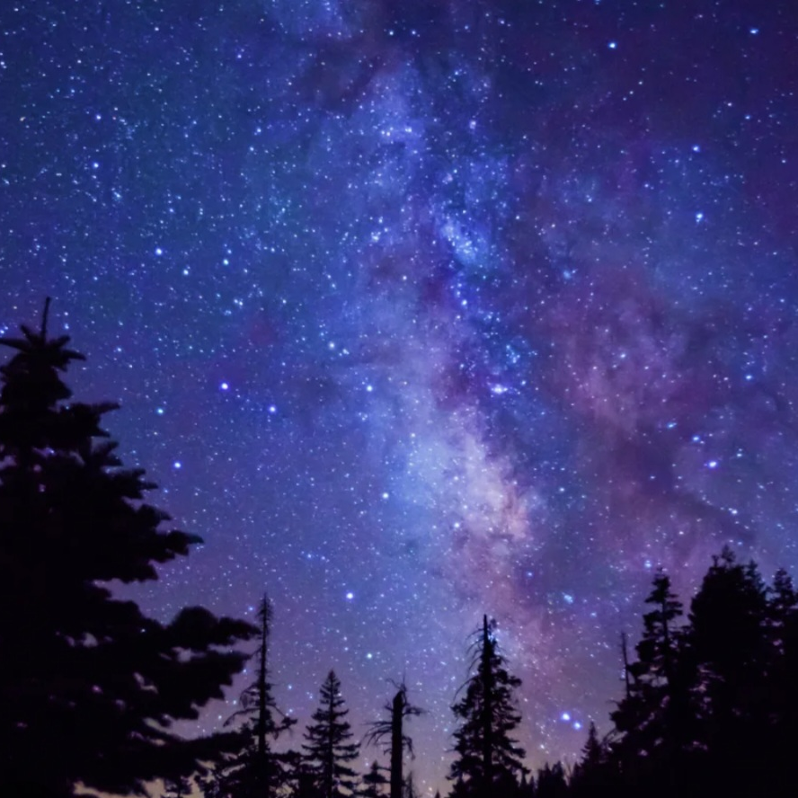 별없는 하늘의 약속 🌌 대표 이미지