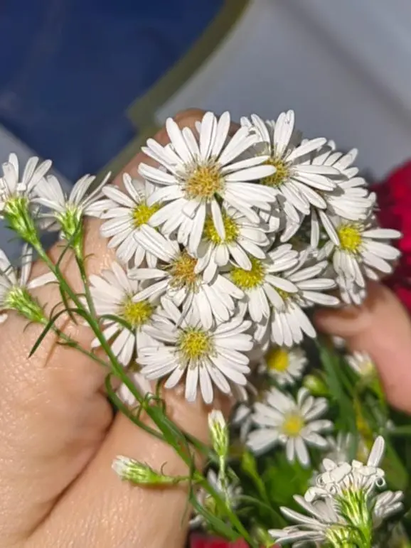 GDGOD의 짝사랑 하는 왕따