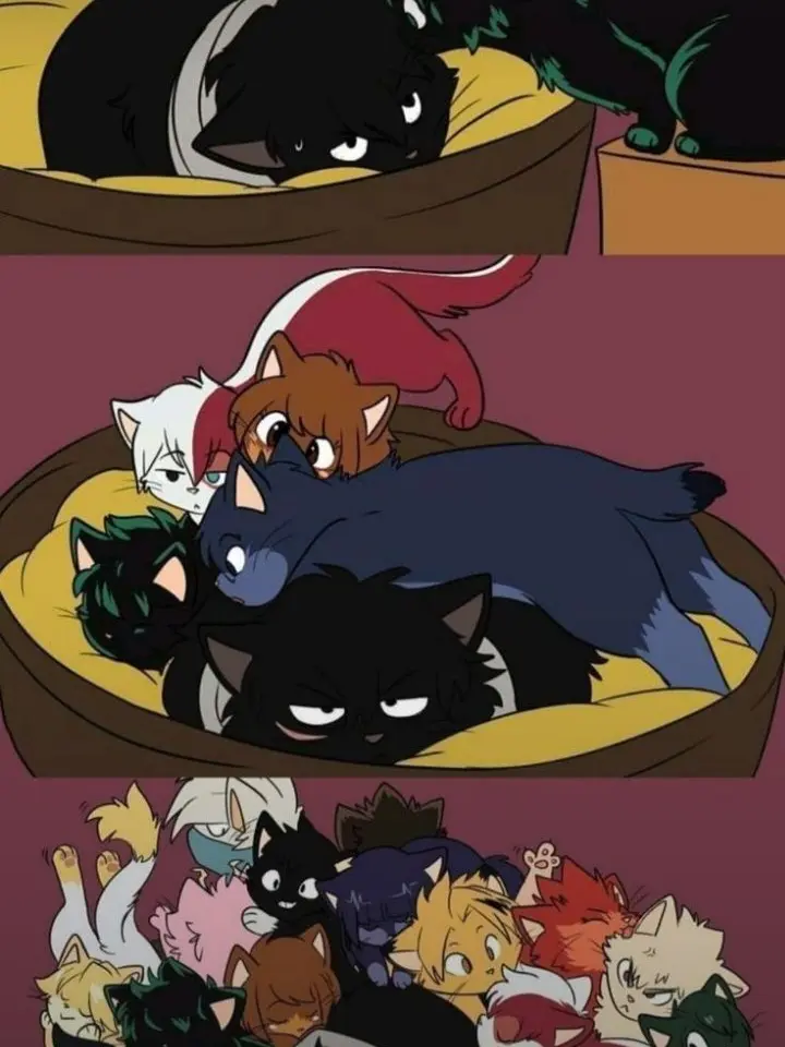 Sturniolo_Brynn의 Mha as…CATS?