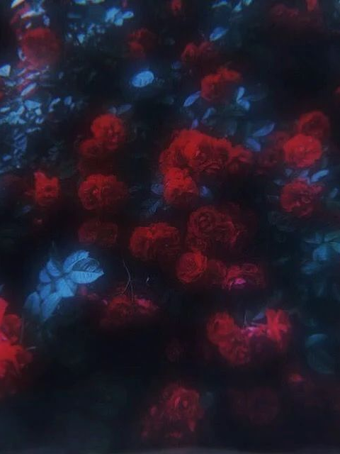 人皆苦炎熱我愛夏日長 대표 이미지