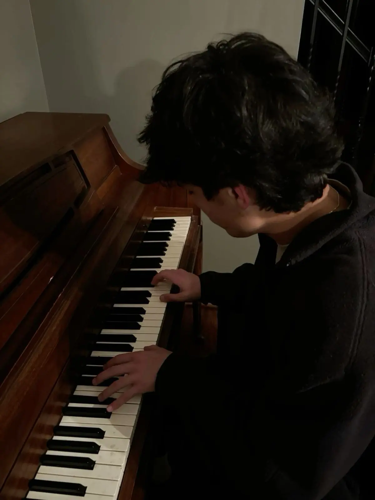 vidlmc의 the boy in the music room