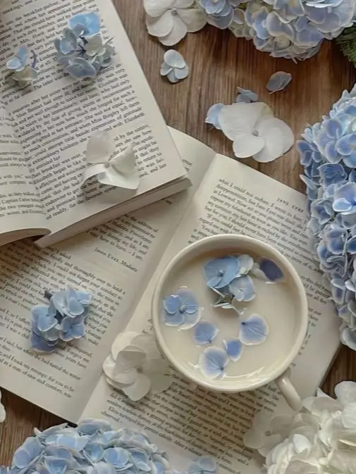 knt_hbr_zeffiro의 悲報:本命チョコが渡せない