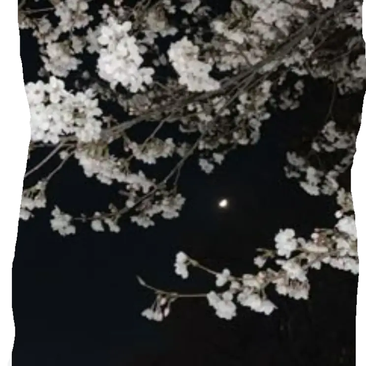 SicklyWolf8977의 무채색즈🖤