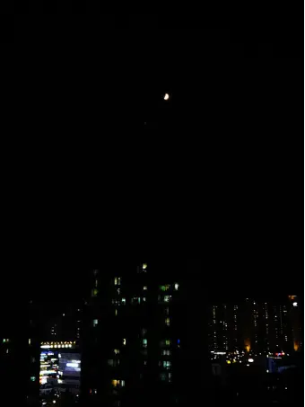 birth의 꼴통학교가 대통합?