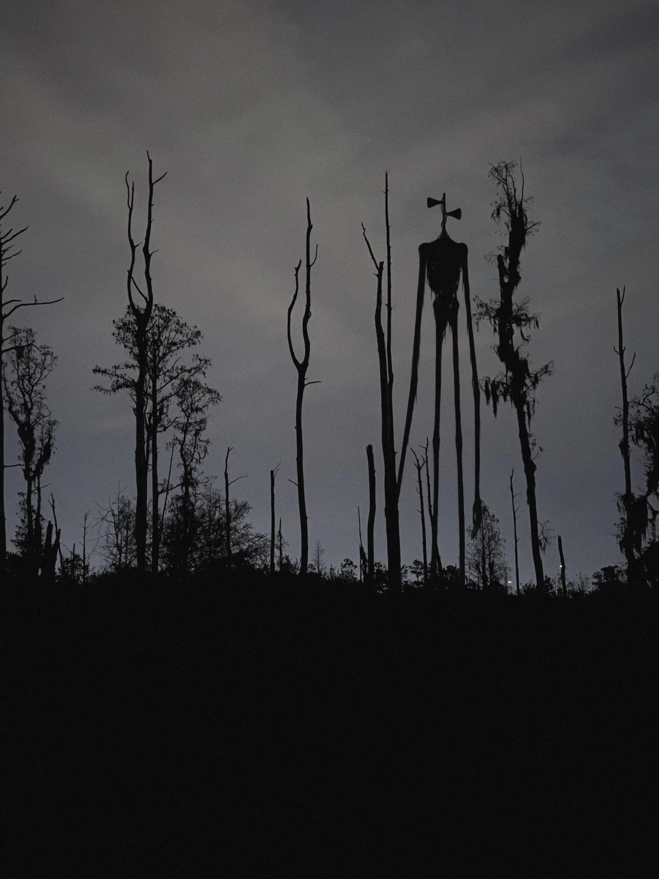 1000ak의 The Living Siren in the Woods