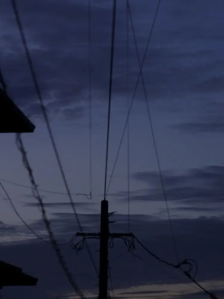 seru0812의 貴方もどうせ。