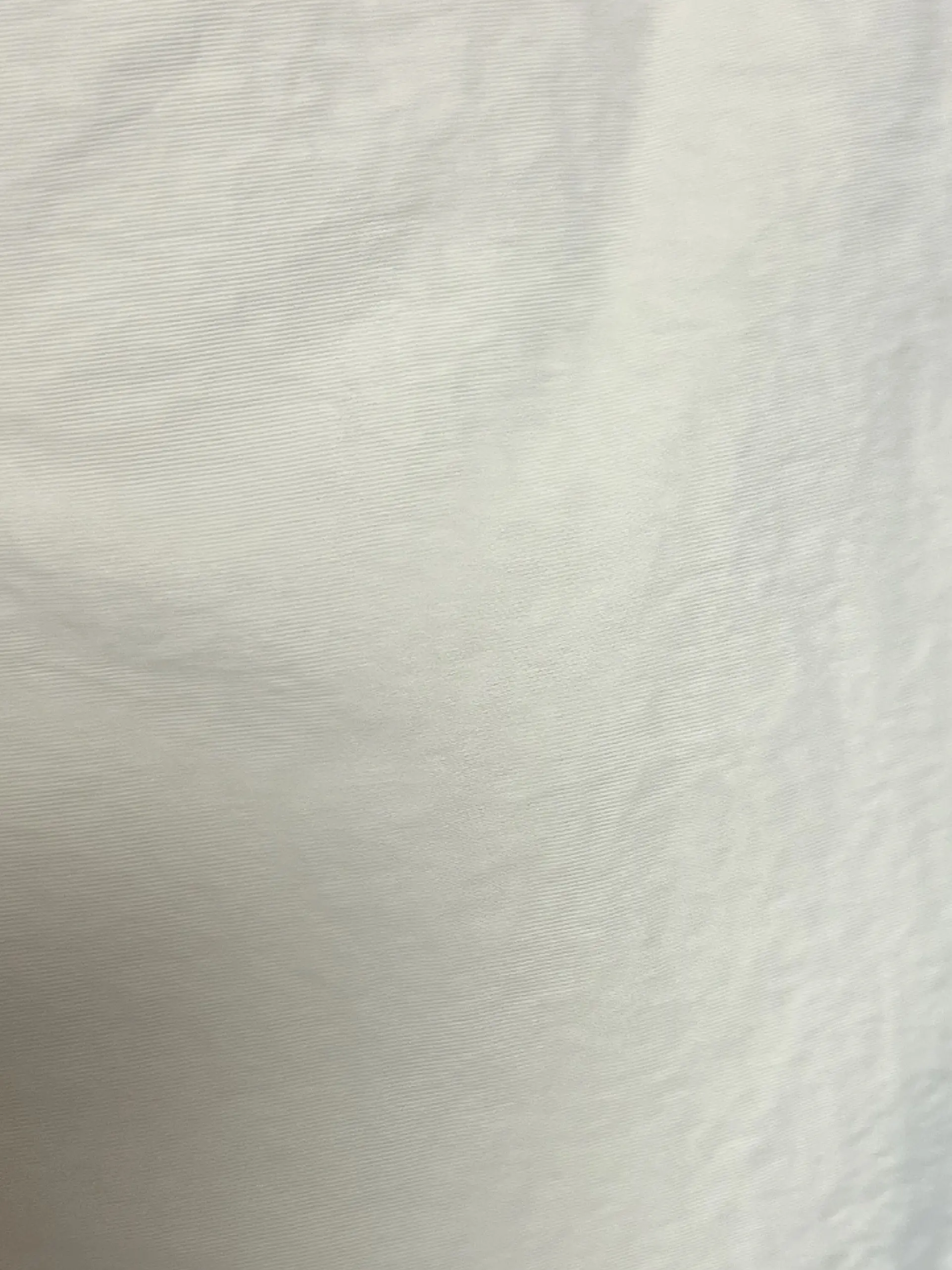 txt_moa_의 ㅌㅂㅌ