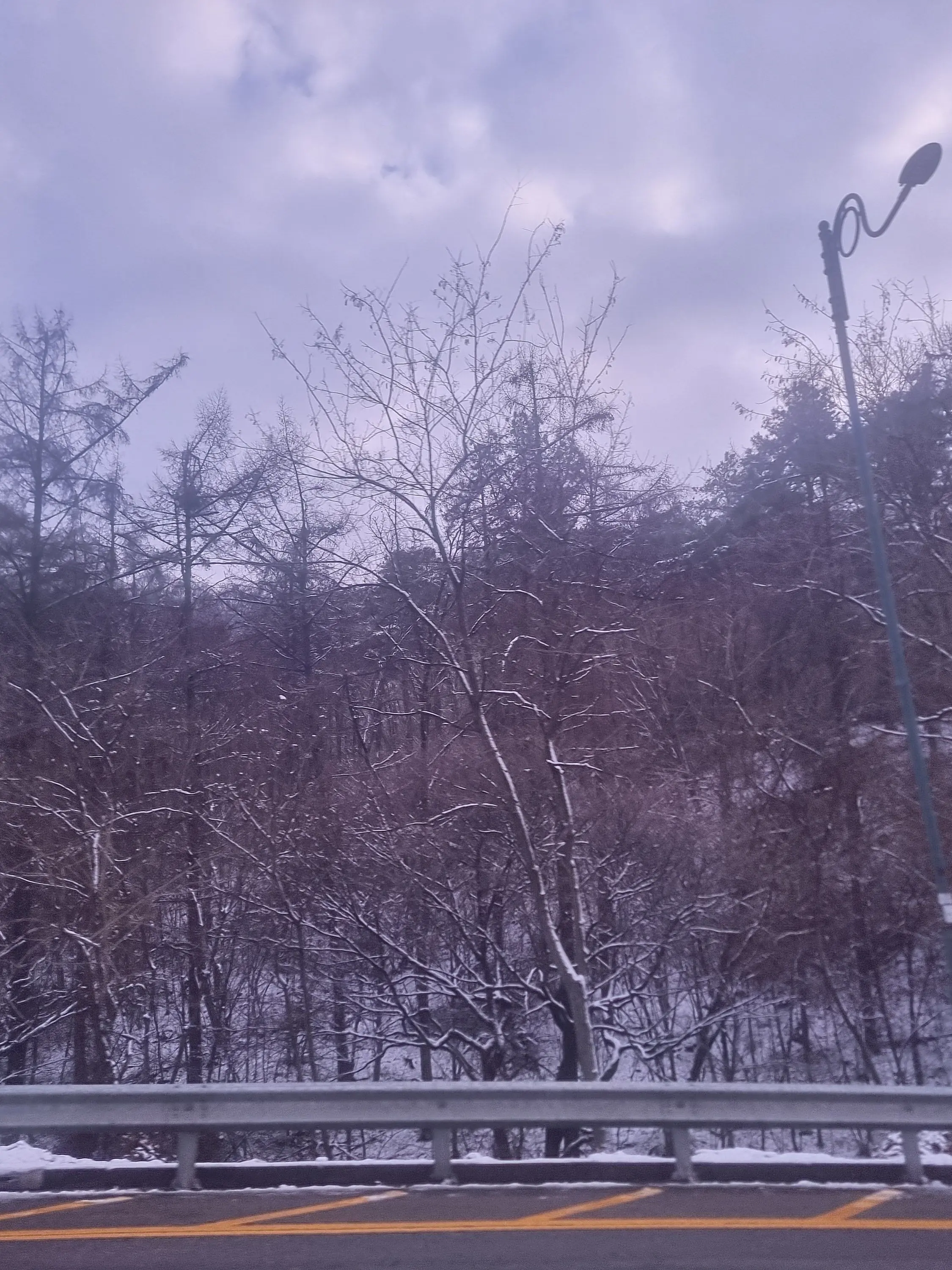 CuteOhYoon의 죽으려고 했다고. 덕개, 왜그래?