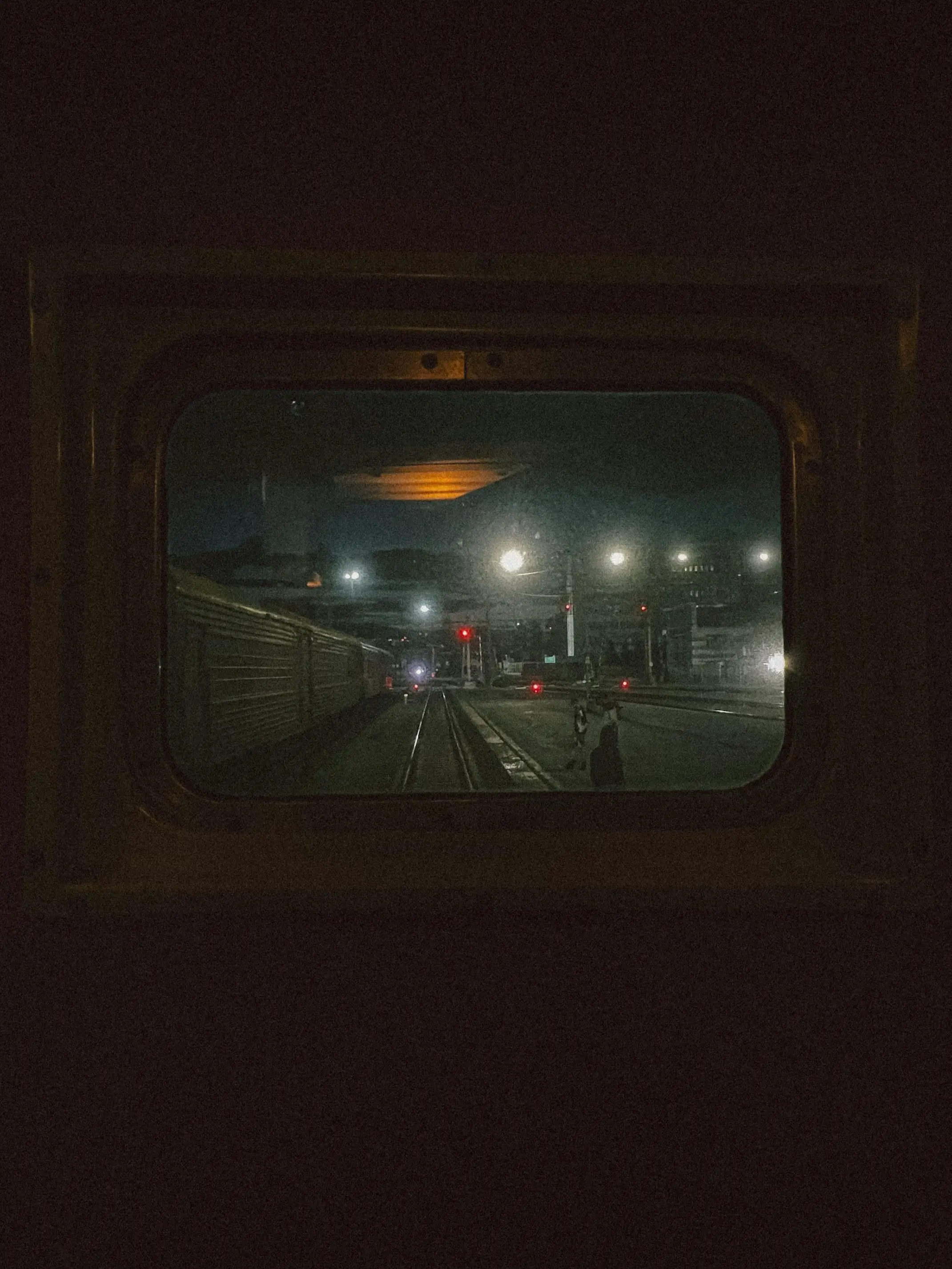 ScaredGoat3825의 自分用