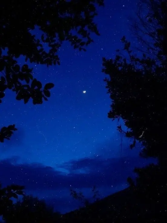 IsabellaS2의 사랑스럽고 어리석은 제자를 위하여.