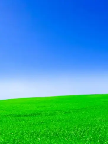 Ms.J.Hi의 “여긴 어디야?”