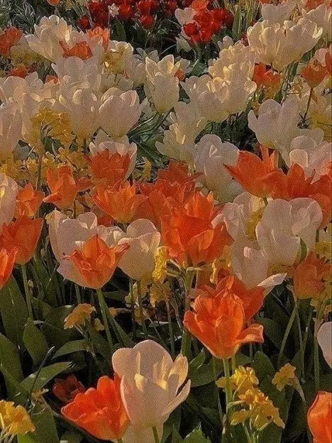 Blanked.love의 1214