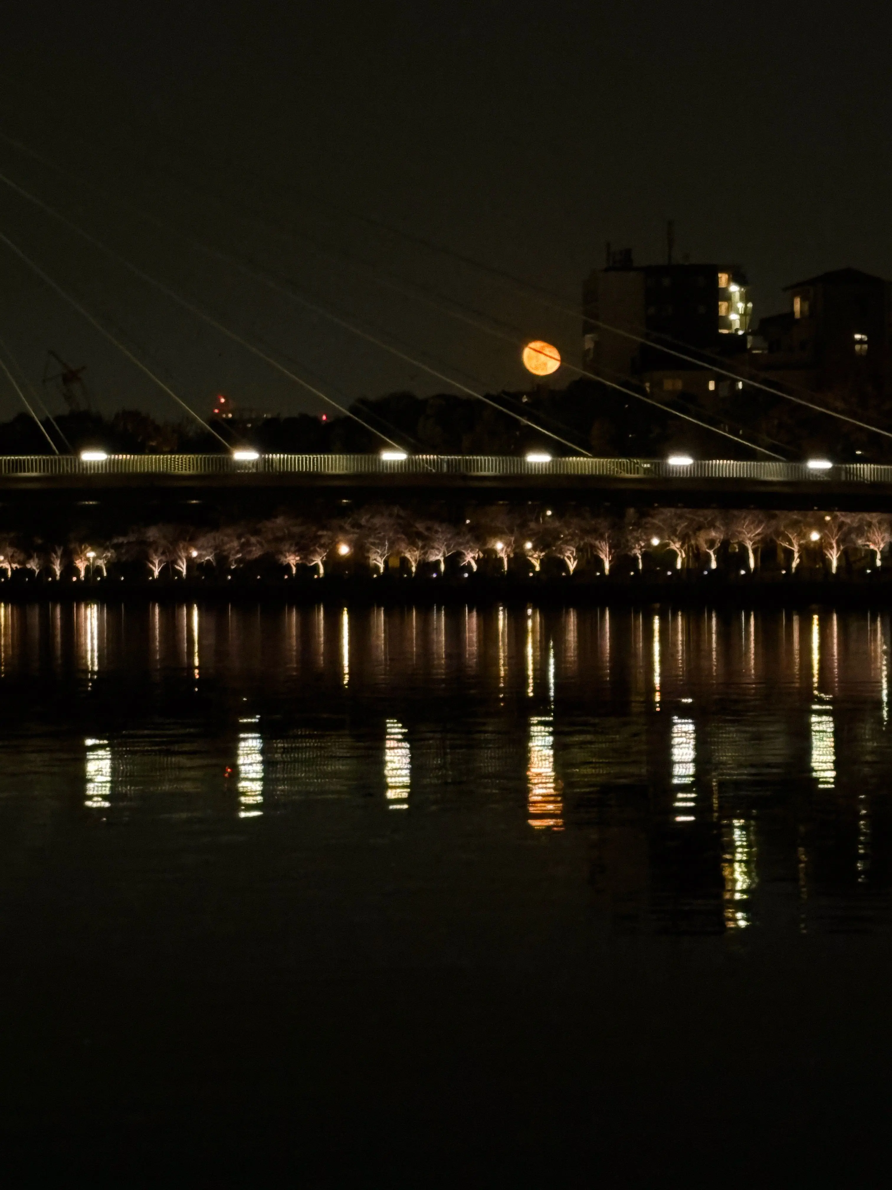 StupidWrist8736의 反日トレと日本人マネージャー