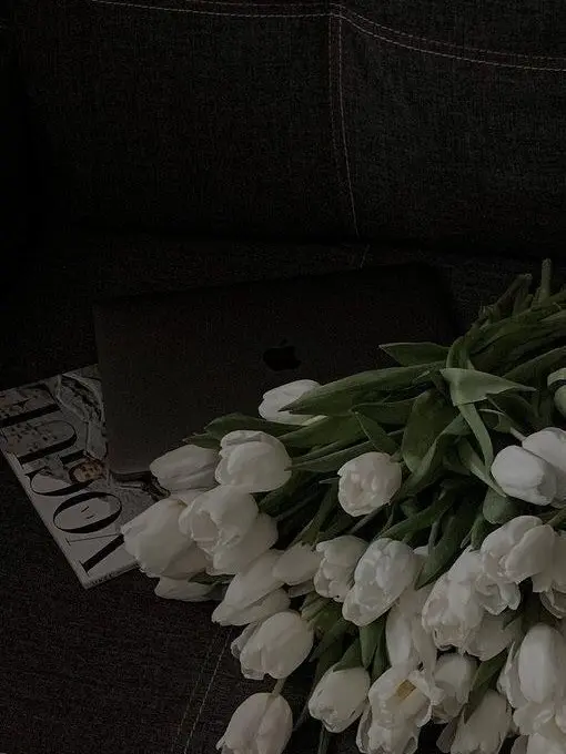 Hihibin의 私が愛するすべての方。