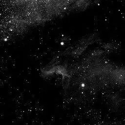 OralVale6549의 🌗