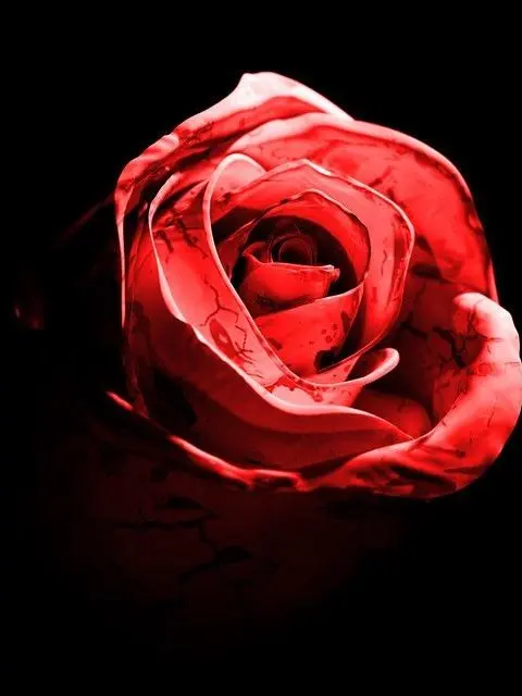 Buttonboy의 Romantic Homicide