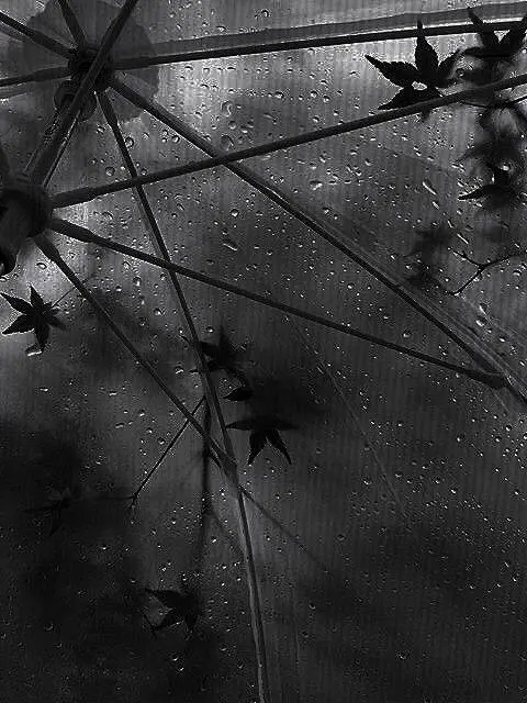 Min0130._.의 우융