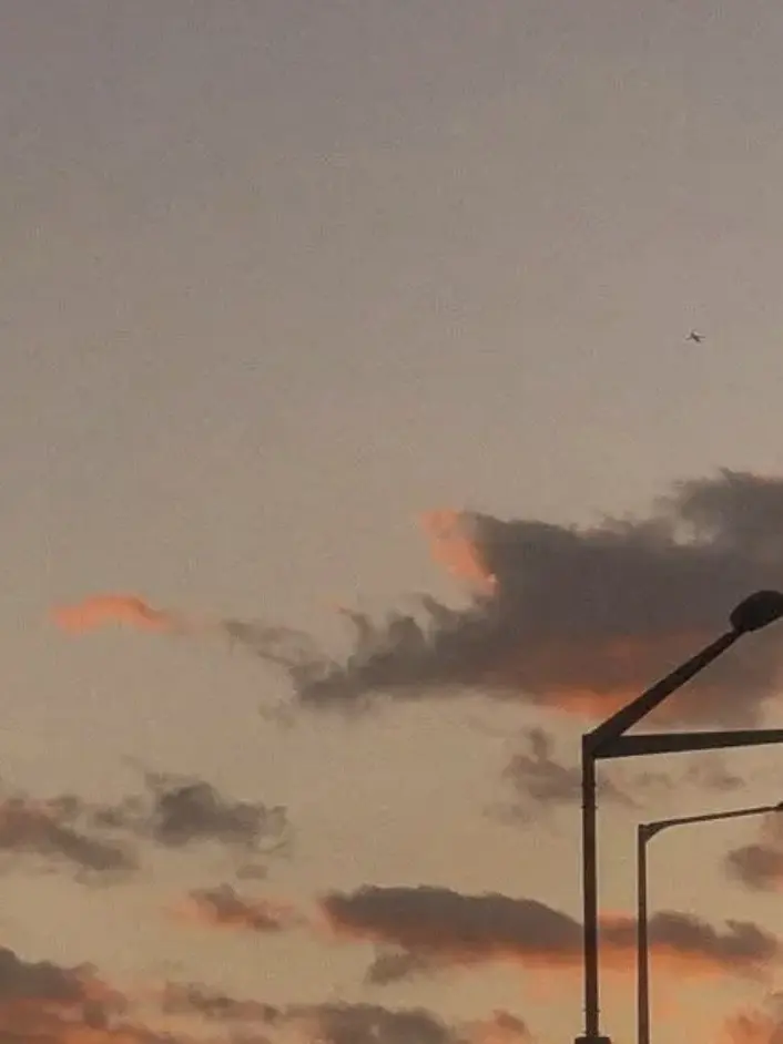 blackr0se_fl0wer의 박 덕개