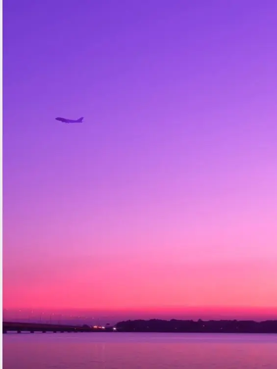 AmusedOkapi6449의 春夏秋冬代行者パロー代行者同士ver