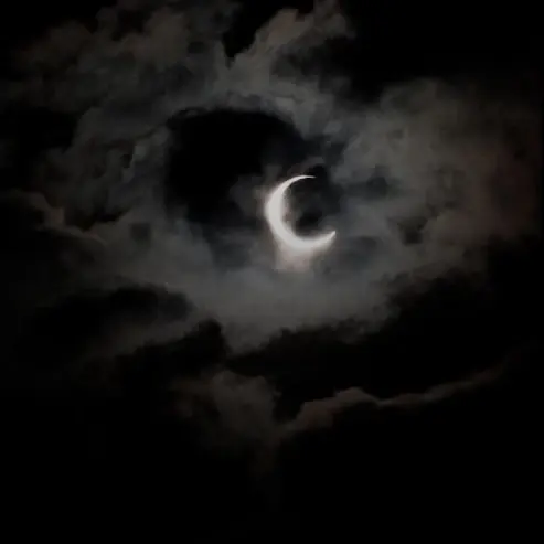 FluidKnob1417의 BOYZ 뱀파이어