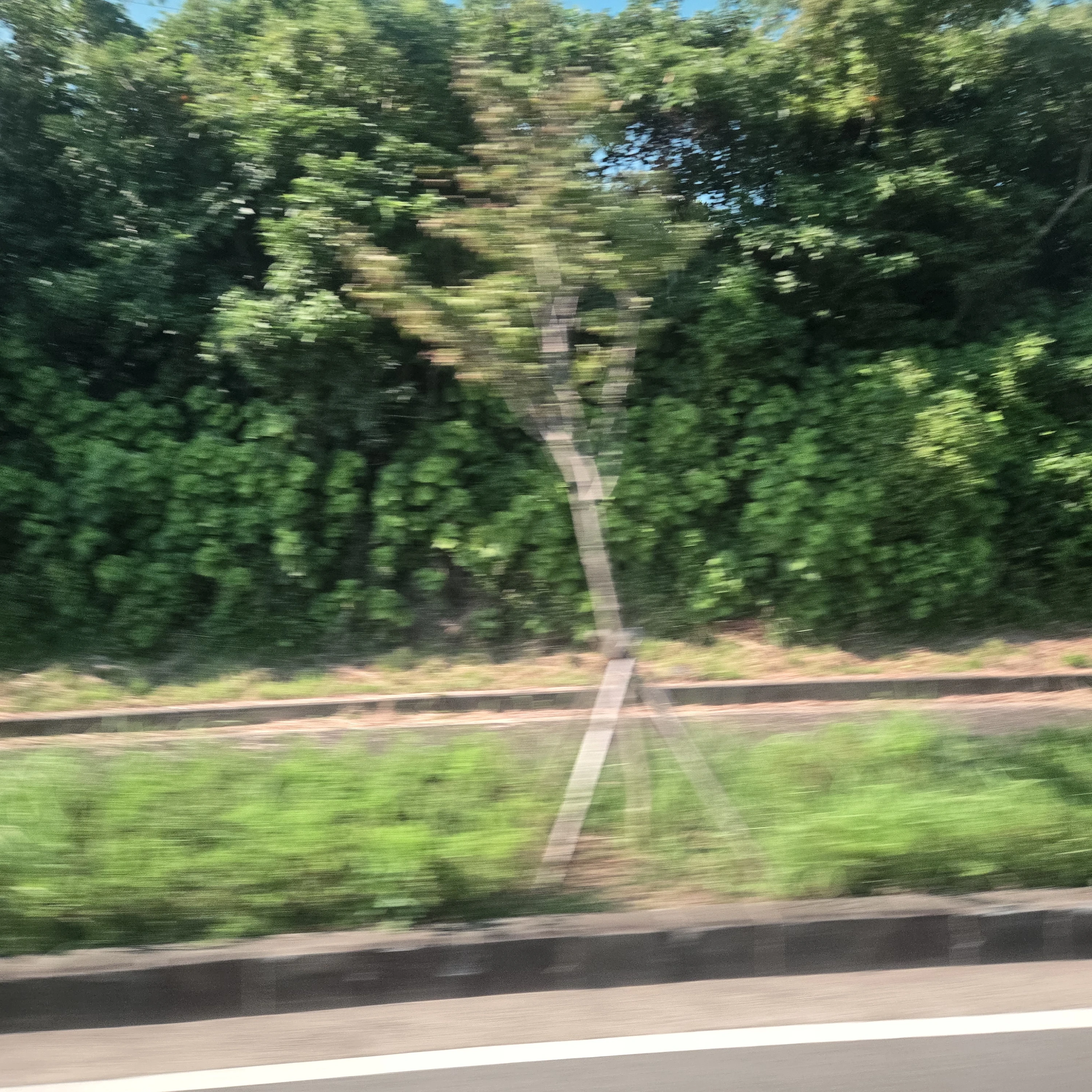 뭐하지